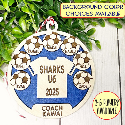 Soccer Team Personalized Ornament, Soccer Player Gift