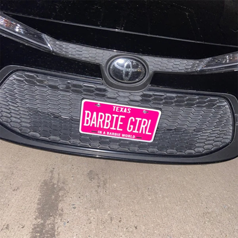Customized Any Style License plate Any Color Any Text Design