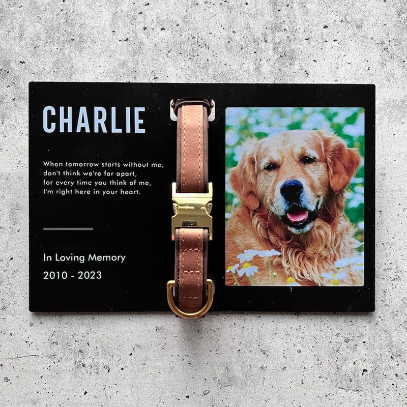 Memorial Pet Collar Frame, Pet Loss Gift, Memorial Pet Collar With Photo