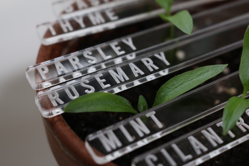 Laser Engraved Clear Veggie/Herb Garden Tags Packs