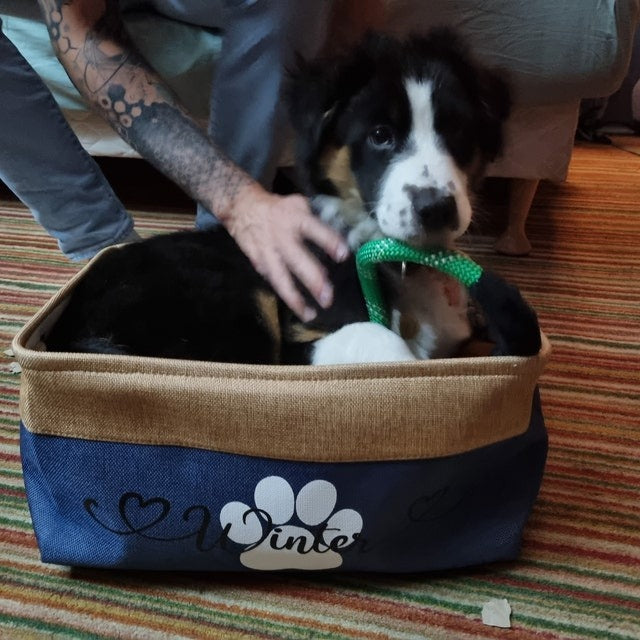 Custom Dog Storage Basket Personalized Dog Toy Basket Dog Toy Box