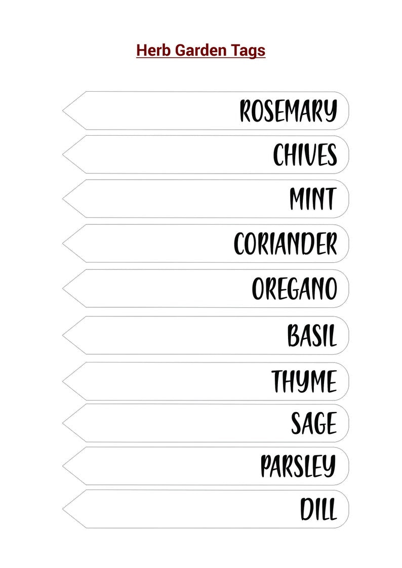 Laser Engraved Clear Veggie/Herb Garden Tags Packs