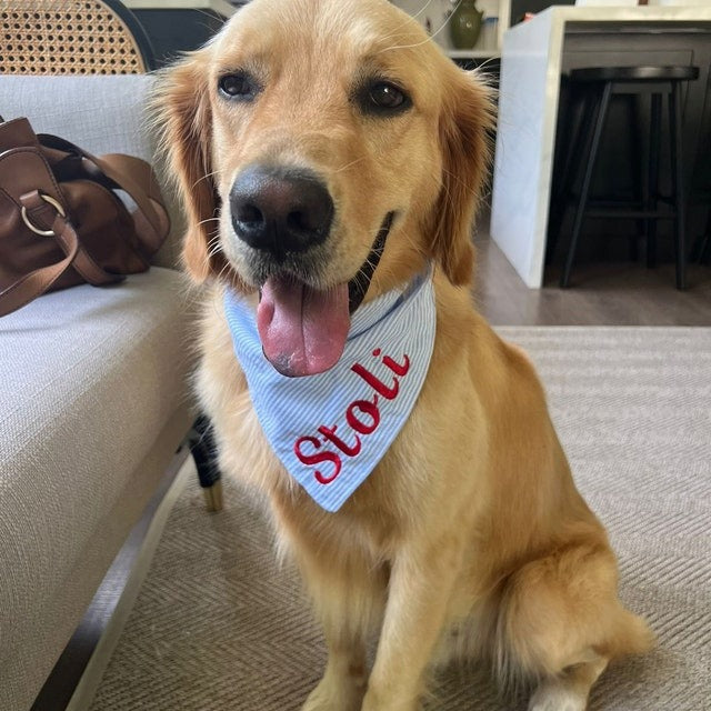 Embroidered Personalized Dog Bandana  Custom Tie On
