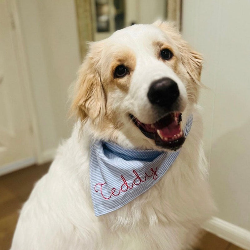 Embroidered Personalized Dog Bandana  Custom Tie On