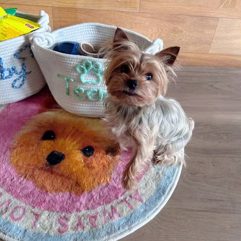 Personalized Pet Toy Basket,Cat Toy Organizer