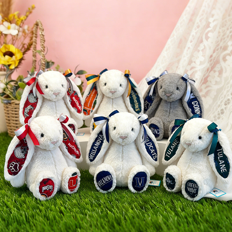 Custom Collegiate Jellycat Bunny: College Acceptance, Graduation