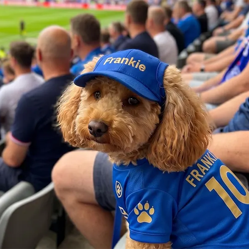 Custom Dog Hat with Embroidered Name,Pet Baseball Cap with Ear Holes