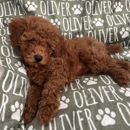 Custom Dog or Cat Name Blanket