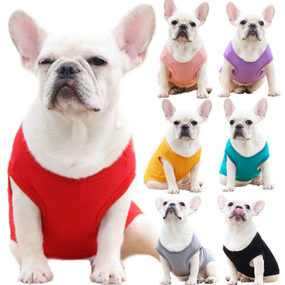 Custom Dog Sports Shirt with Name and Number, Personalized Dog Shirt Custom Shirt for Dog  Dog Coach Shirt