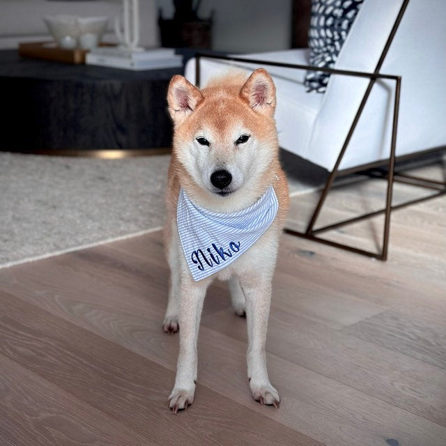 Embroidered Personalized Dog Bandana  Custom Tie On