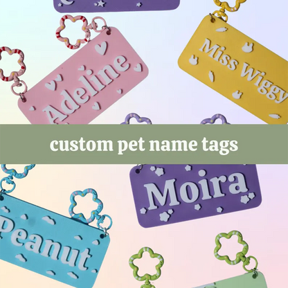 Custom Small Pet Cage Name Tag For Guinea Pigs, Rabbits, Hamsters
