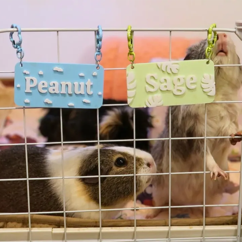 Custom Small Pet Cage Name Tag For Guinea Pigs, Rabbits, Hamsters