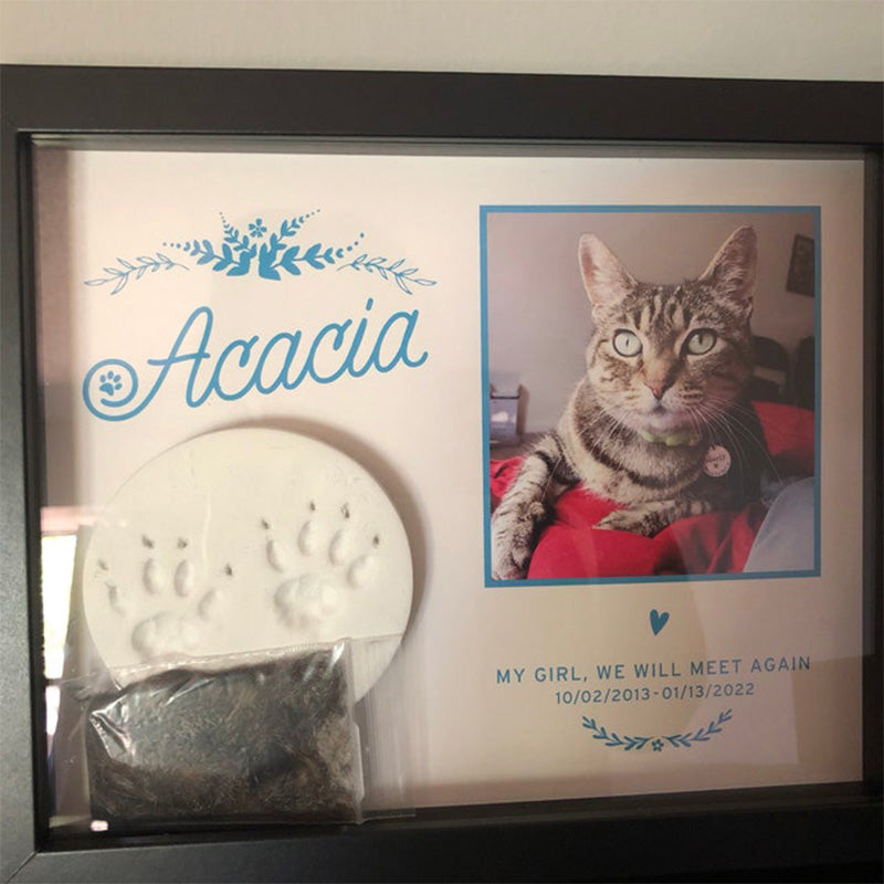 Pet Memorial Paw Print Holder Shadow Box