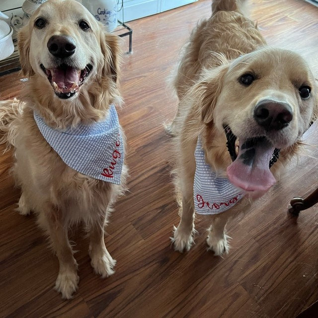 Embroidered Personalized Dog Bandana  Custom Tie On