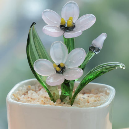 Handmade Glass Forget Me Not Pot, Custom Pet Portrait Present for Family Friends