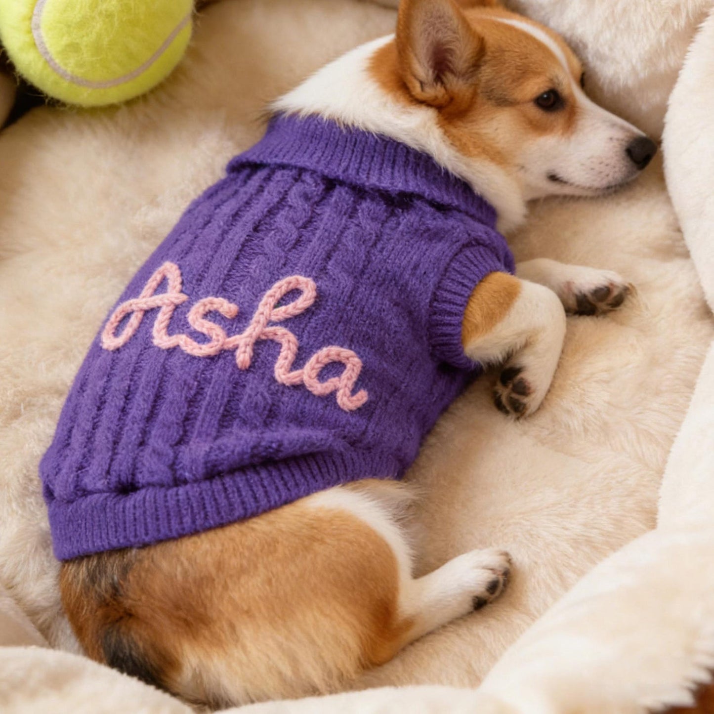 Personalized Dog Name Sweater, Custom Dog Jumper, Embroidered Pet Name Clothing