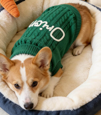 Personalized Dog Name Sweater, Custom Dog Jumper, Embroidered Pet Name Clothing