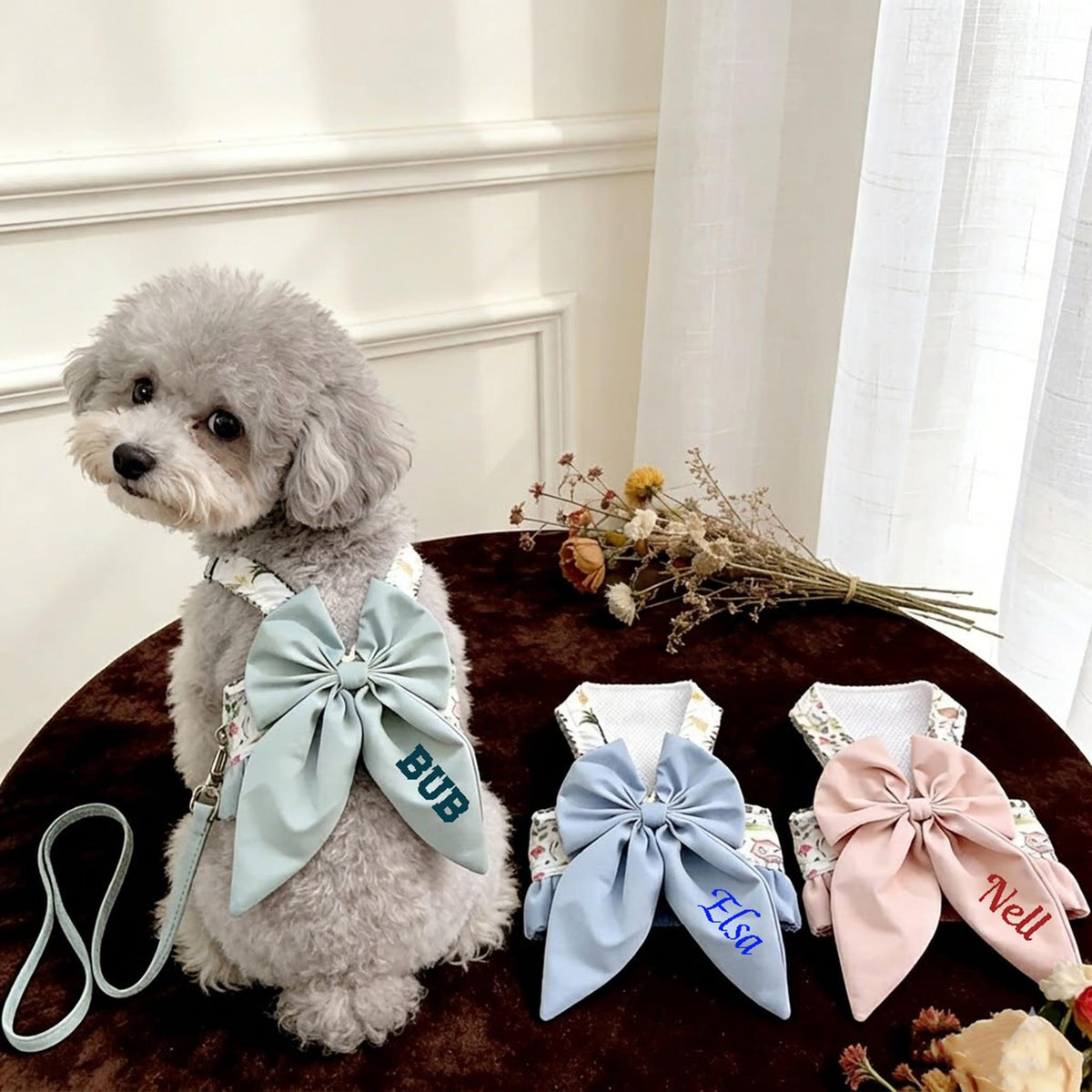Personalized Dog Harness, Comfortable Adjustable Vest for Tiny to Small Dogs