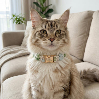 Custom Pet Collar with Name Tag – Braided Cotton Dog Collar