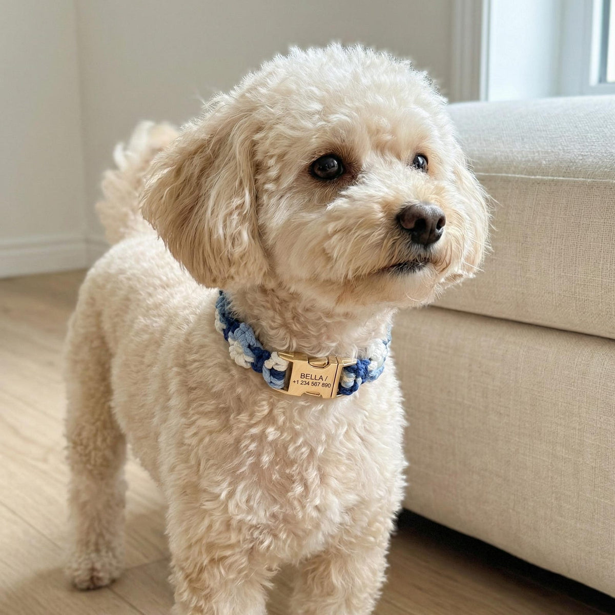 Custom Pet Collar with Name Tag – Braided Cotton Dog Collar