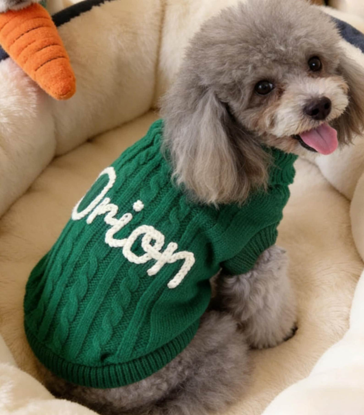 Personalized Dog Name Sweater, Custom Dog Jumper, Embroidered Pet Name Clothing