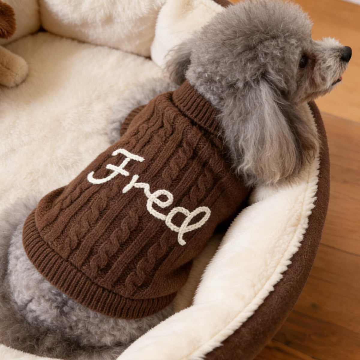 Personalized Dog Name Sweater, Custom Dog Jumper, Embroidered Pet Name Clothing