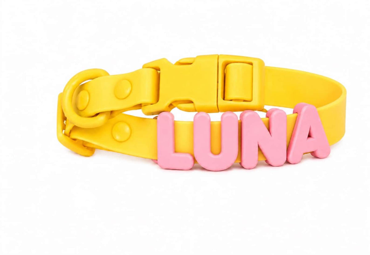 Customizable Silicone Dog Collar with Name | Pastel Puppy Pet Collar