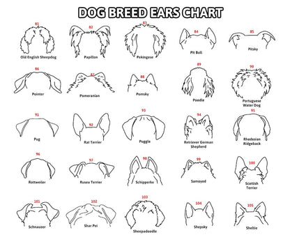 Personalized Dog Leash Holder For Organizing Pet Accessories