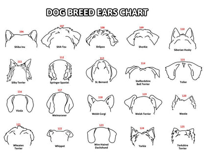 Personalized Dog Leash Holder For Organizing Pet Accessories