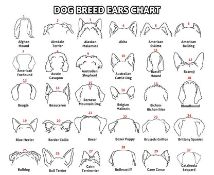 Personalized Dog Leash Holder For Organizing Pet Accessories