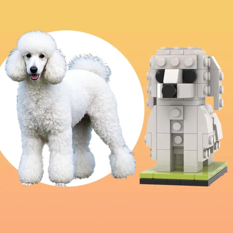 Custom Brick Mini Figures of You and Pets