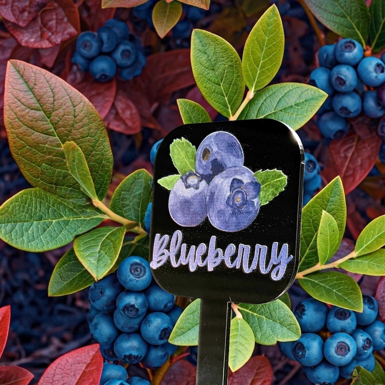 Colorful Acrylic Herb Marker
