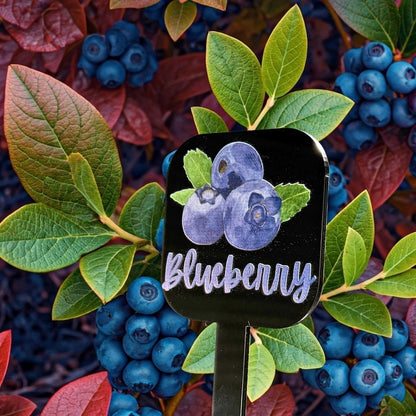 Colorful Acrylic Herb Marker