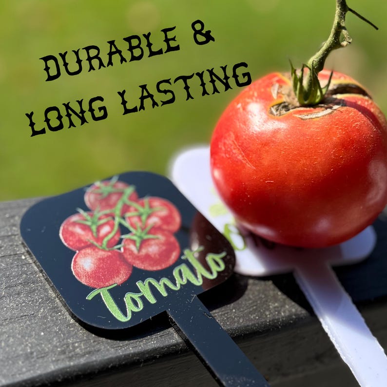 Colorful Acrylic Herb Marker