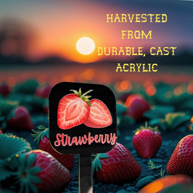 Colorful Acrylic Herb Marker