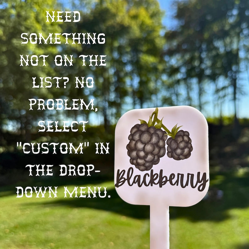 Colorful Acrylic Herb Marker