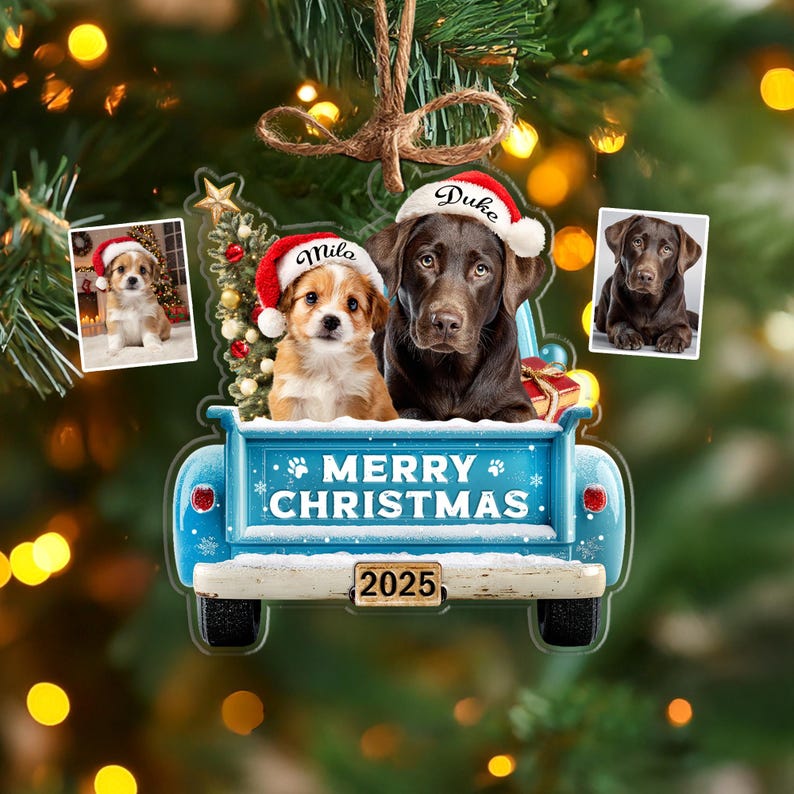 Custom Pet's First Christmas Ornament, Pet Photo Ornament