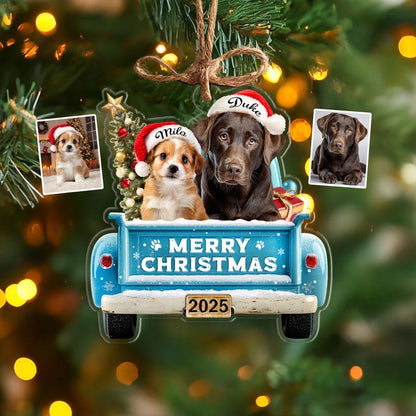 Custom Pet's First Christmas Ornament, Pet Photo Ornament