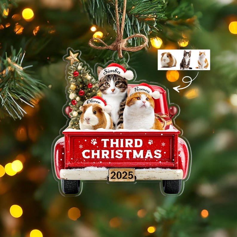Custom Pet's First Christmas Ornament, Pet Photo Ornament