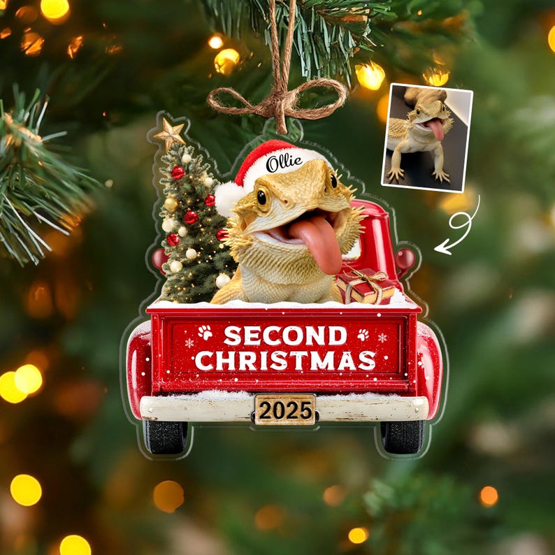 Custom Pet's First Christmas Ornament, Pet Photo Ornament